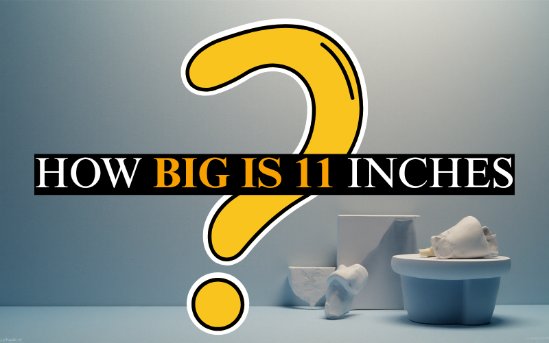 How Big is 11 Inches? Ultimate Guide to Visualizing 11 Inches how big is 11 inches