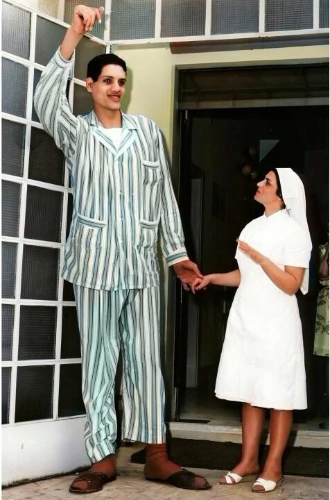 suleiman ali nashnush height